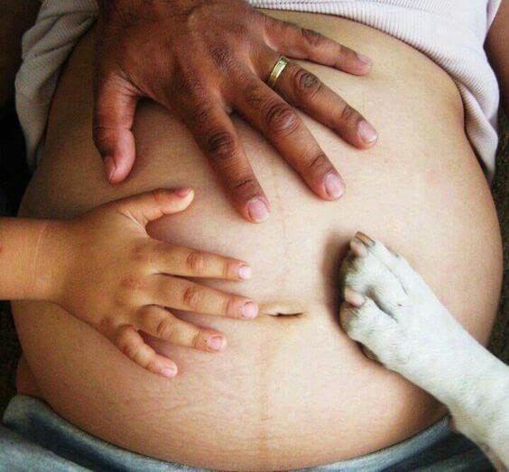 Planung einer zweiten Schwangerschaft - Hände der Familienmitglieder liegen auf Babybauch