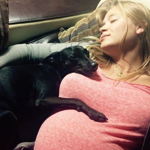 Vorteile eines Hundes - Schwangere Frau mit Hund
