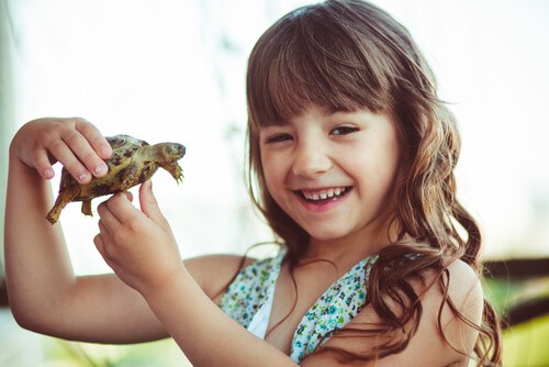 Die Schildkrötentechnik - Mädchen hält Schildkröte