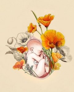 Ich liebe dich seit deinem ersten Herzschlag