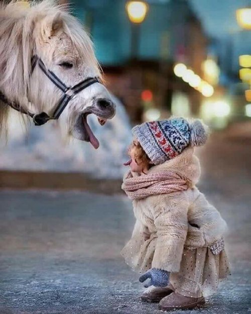 Die Liebe einer Mutter
