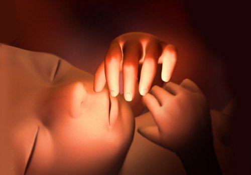 Die 25. Schwangerschaftswoche mit Fruchtflüssigkeit