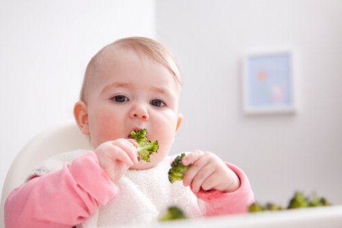 Gewicht deines Babys - Gewicht-deines-Babys-isst-Brokkoli