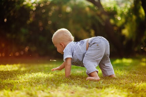 krabbelt - baby-krabbelt-im-gras
