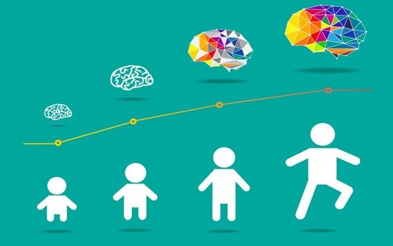 Entwicklung des kindlichen Gehirns