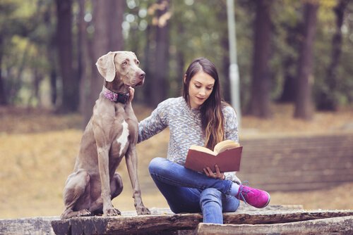 Bücher für Jugendliche können das Interesse am Lesen wecken