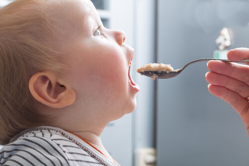 Obstbreie für Babys sollten nach und nach eingeführt werden.