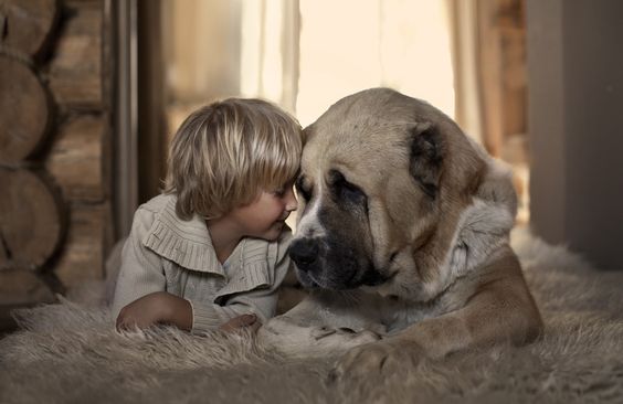 Ehrlichkeit zwischen Kind und Hund