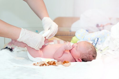 Warum Frauen die Nabelschnur spenden