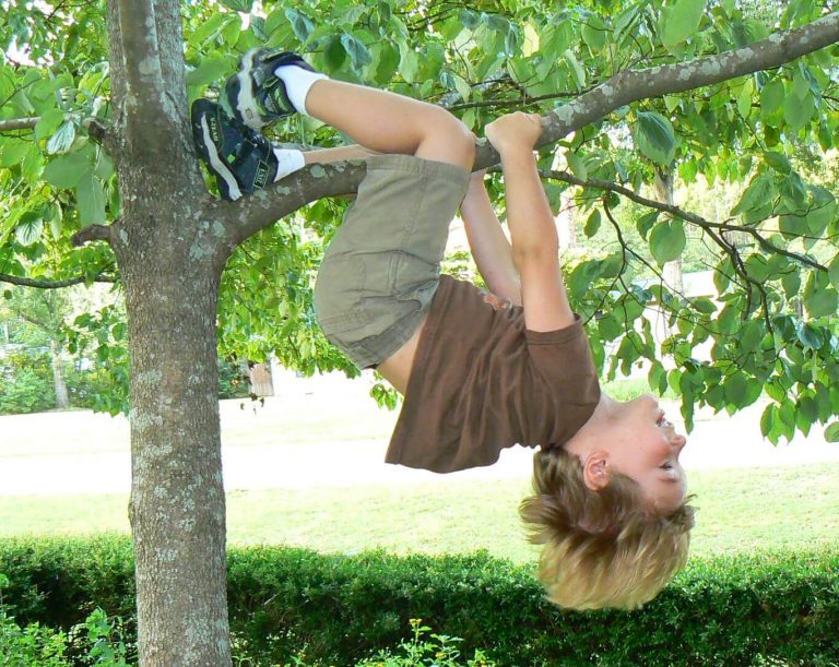 Wurzeln und Flügel für Kind am Baum