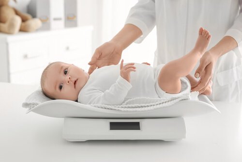 Die Gewichtszunahme von Babys bis zum neunten Lebensmonat