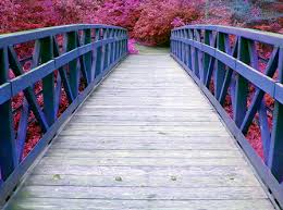 Brücke
