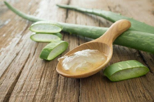 Aloe Vera zur Narbenbehandlung