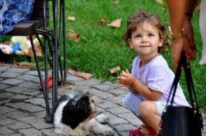 Baby und Haustier unterhalten sich