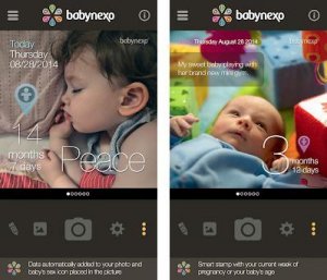Babynexo