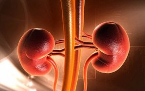 Nierenkrebs in der Kindheit: Ursachen und Symptome