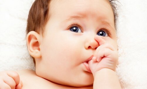 Fingerlutschen beruhigt Babys