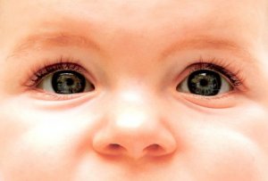 Die Augenfarbe und die Genetik
