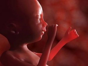 Baby in der 28. Schwangerschaftswoche