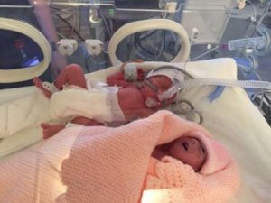 Babys im Brutkasten. Warum ein violetter Schmetterling?
