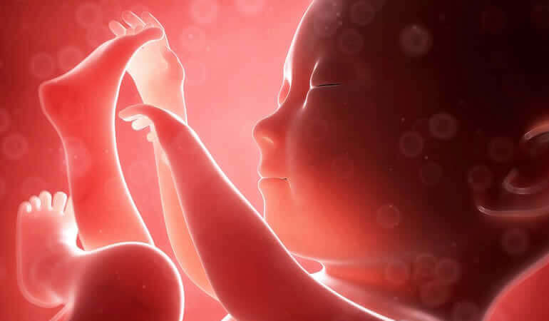 Was fühlt ein Baby im Mutterbauch?