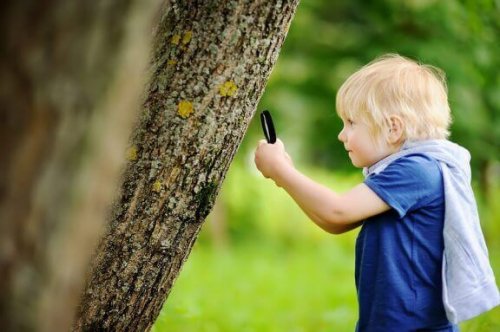 Naturerziehung ergänzt das traditonelle Lernen