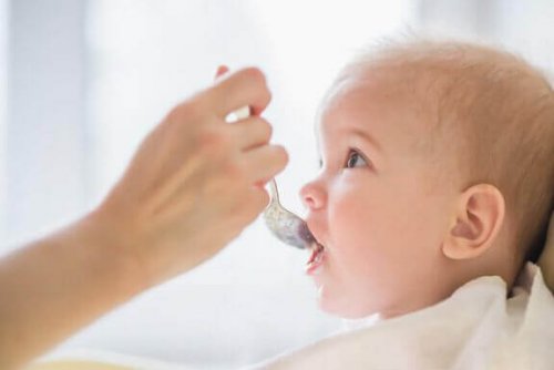 Ist es eine gute Idee, Babynahrung aufzubewahren?