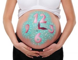 Wie lange dauert eine normale Schwangerschaft?
