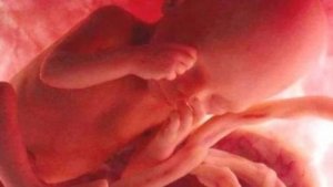 Rauchen während der Schwangerschaft kann die DNA deines Babys verändern