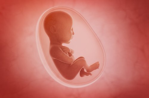 Es ist wichtig darauf hinzuweisen, dass nicht alle kleinen Babys an einer fetalen Wachstumsstörung leiden.