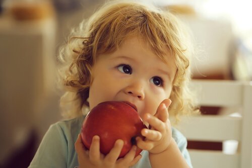 Äpfel sehr erfrischend und feuchtigkeitsspendend, da sie zu 85% aus Wasser bestehen.