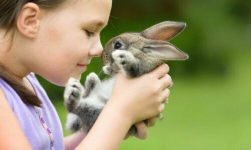 Kaninchen sind großartige Haustiere für Landkinder und Stadtkinder zugleich