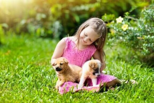 Hunde sind ideale Haustiere für Landkinder