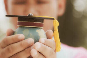 Die Theorie der Schulorganisation und ihre Merkmale