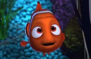 Filme, die Kinder über Ökologie unterrichten