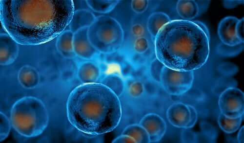 Wie du deinen Kindern Stammzellen erklären kannst