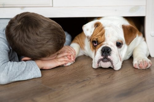 Was ist zu tun, wenn dein Kind von einem Hund gebissen wurde?