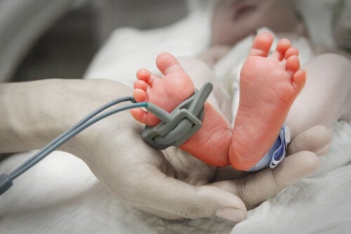 SpÃ¤te FrÃ¼hgeborene: Die wichtigsten Probleme