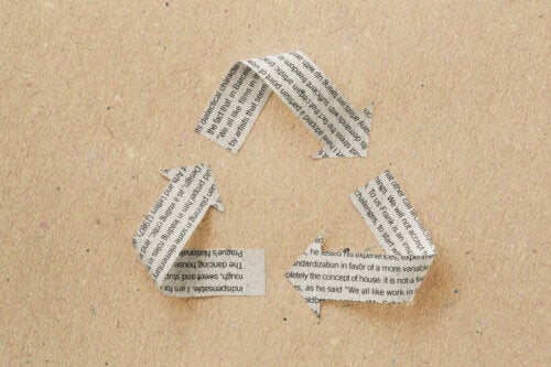 Recyclingpapier zu Hause herstellen: So geht´s!