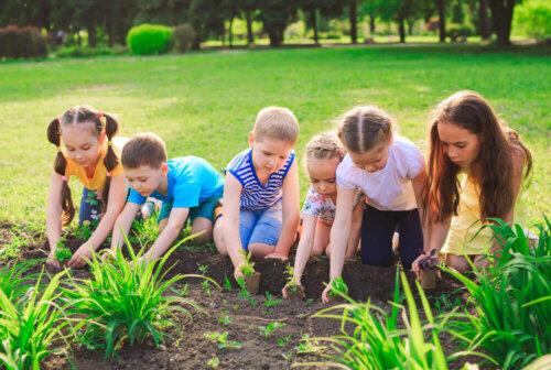 Ökologische Experimente für Kinder, die Respekt für den Planeten lehren