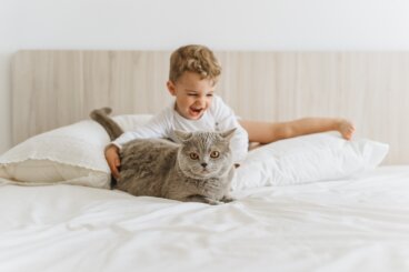 Katzen für Kinder: Eine lebenslange Freundschaft
